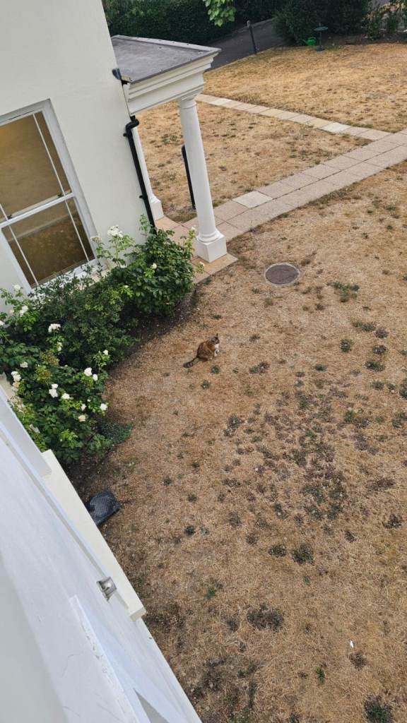 1 Room for female near Redhill station (RH1)