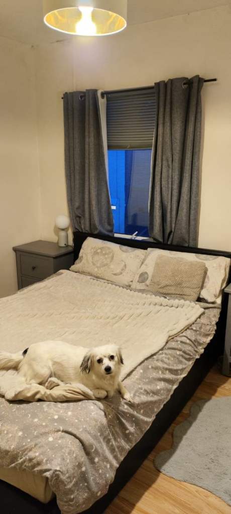 Double room for rent (LU1 3UH)